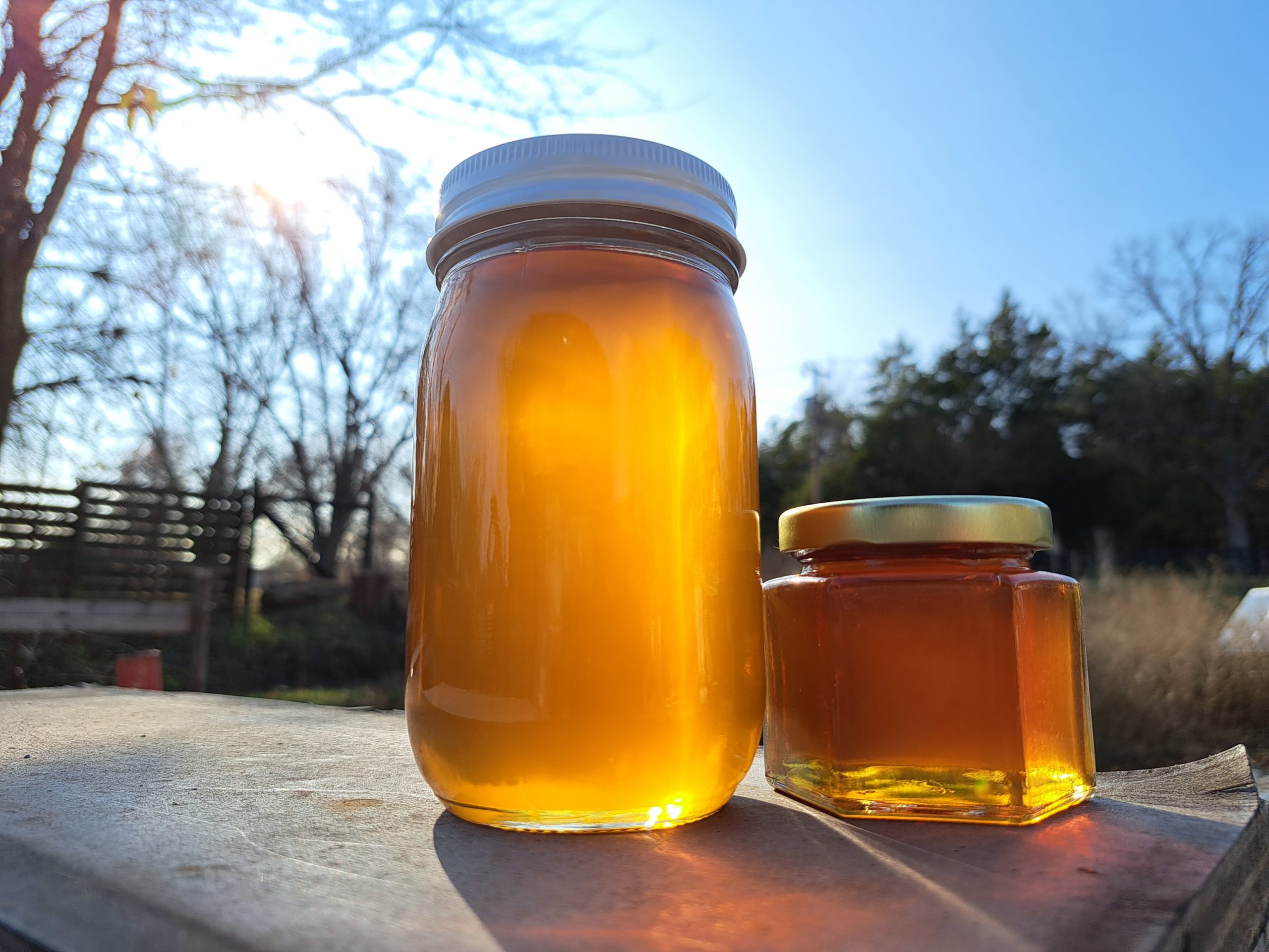 A Honey Hive debuts at the Herbfest